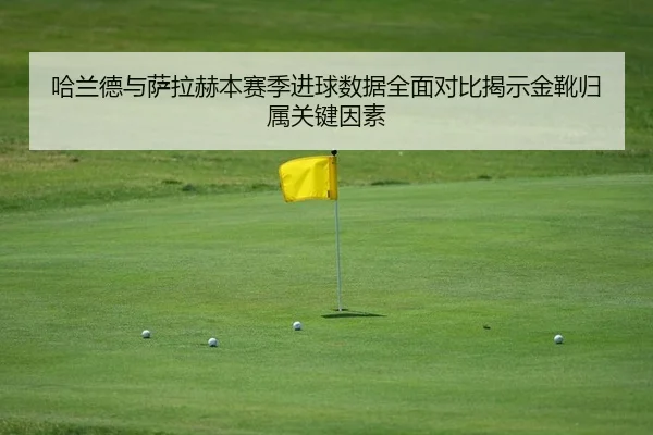 ha-lan-de-yu-sa-la-he-ben-sai-ji-jin-qiu-shu-ju-quan-mian-dui-bi-jie-shi-jin-xue-gui-shu-guan-jian-yin-su-2-846.jpg